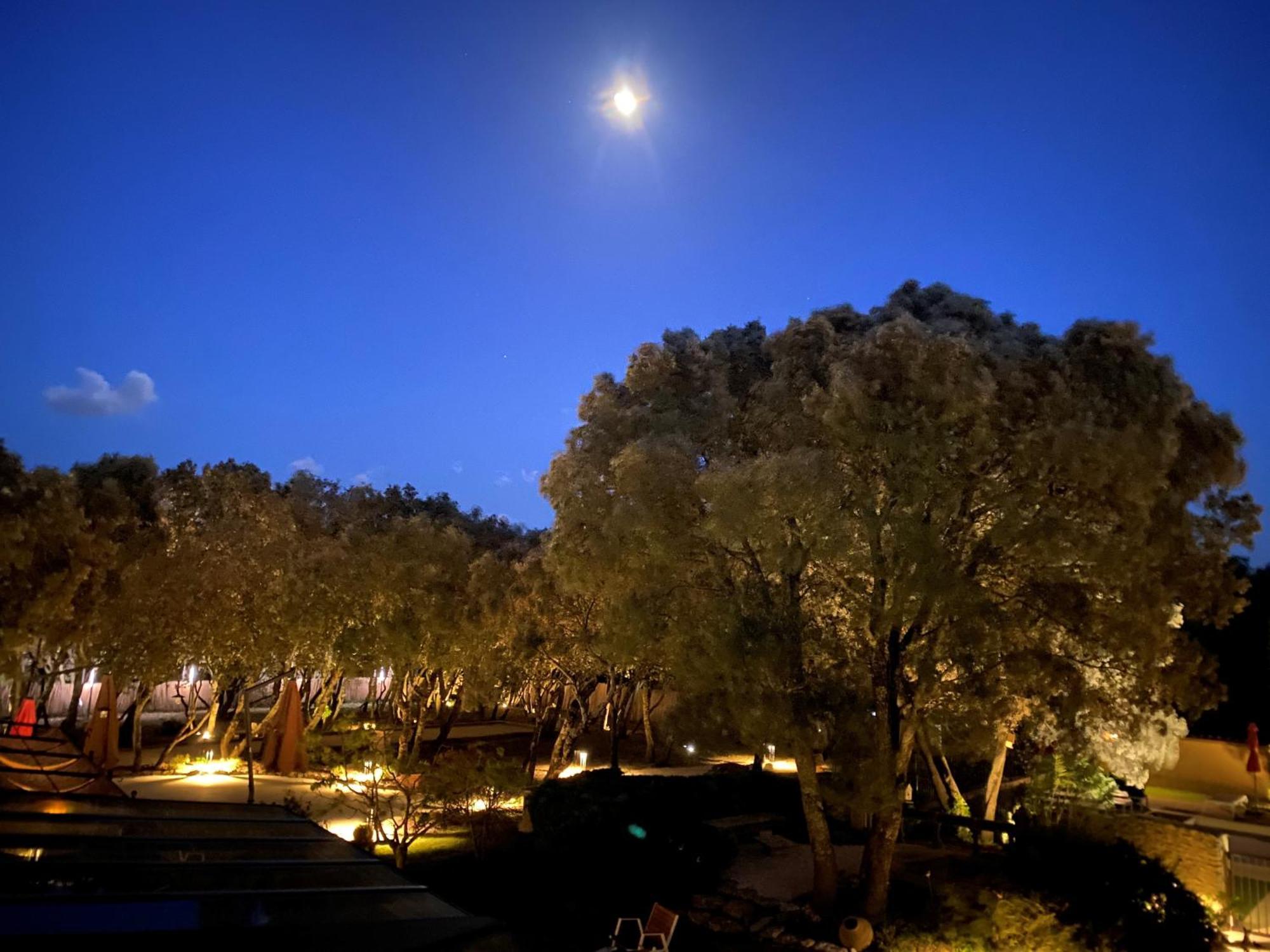 Logis La Bastide De Grignan Hotel & Restaurant "La Chenaie" Exterior photo